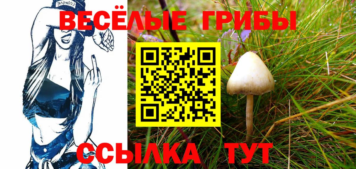 Галлюциногенные грибы MAGIC MUSHROOMS Тимашёвск